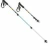 REI Co-op Trailmade Print Trekking Poles - Pair 1 REI Co-op Trailmade Print Trekking Poles - Pair -Gadgets & Gear Shop 3d625fdd 9531 4880 b7d5 0b41251494cf